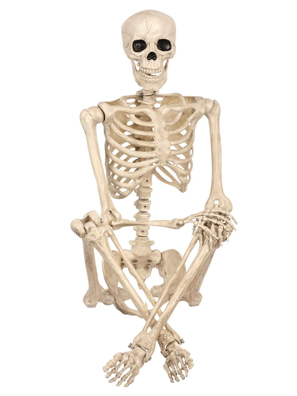 Seasons 5 FT Pose-N-Stay Life Size Skeleton with Realistic Posable and Movable Joints Halloween Decoration for Crazy Bonez Skeleton Line