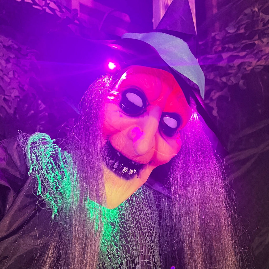 Haunted Hill Farm 6.0-Ft. Touch-Activated Mounted Flying Witch Halloween Animatronic