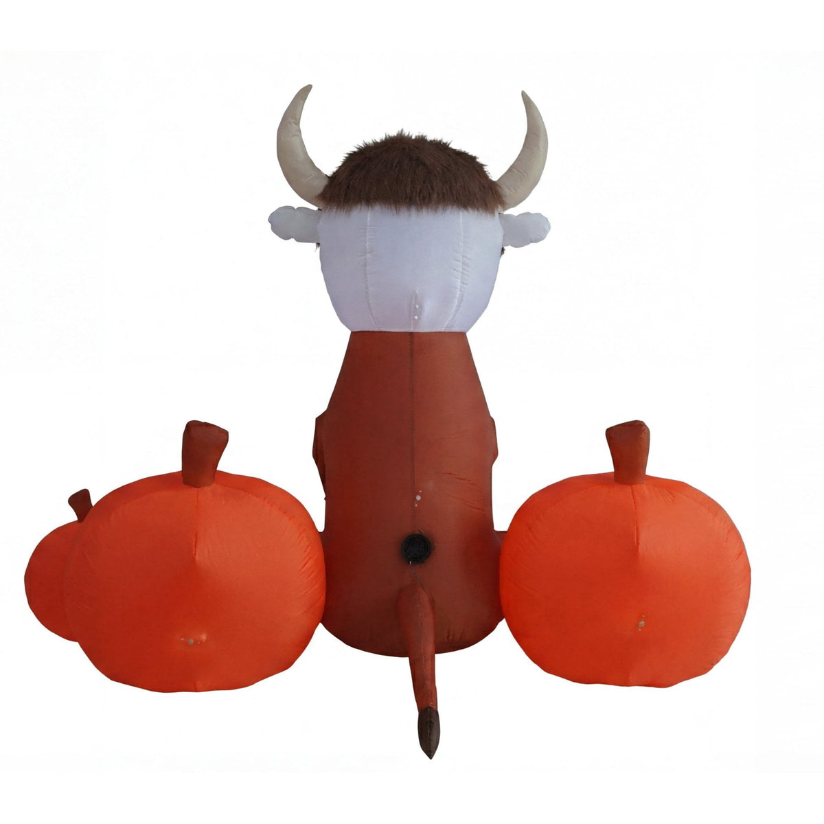 Skeleton Highland Cow with Pumpkins Halloween Inflatable, 5ft