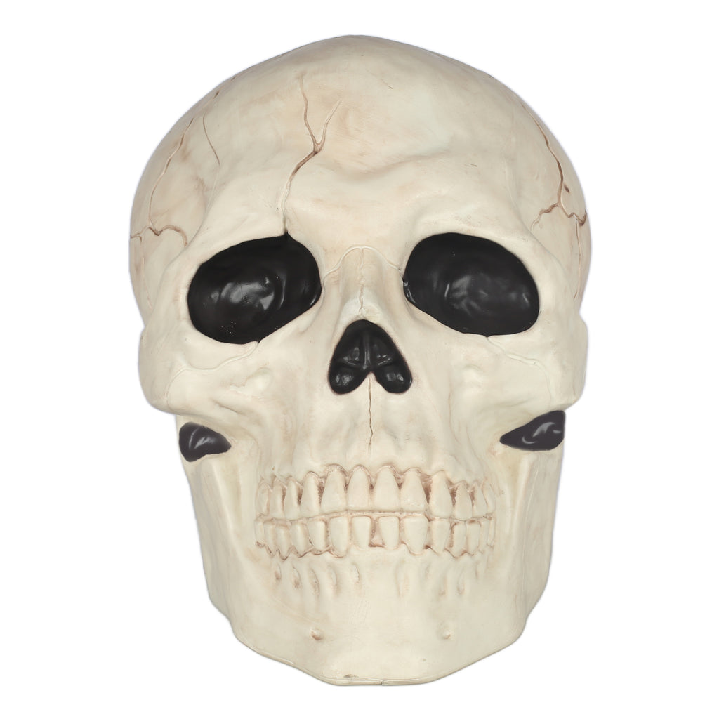 Seasons 17" Giant Skull Halloween Decorative for Crazy Bonez Skeleton Line, Large
