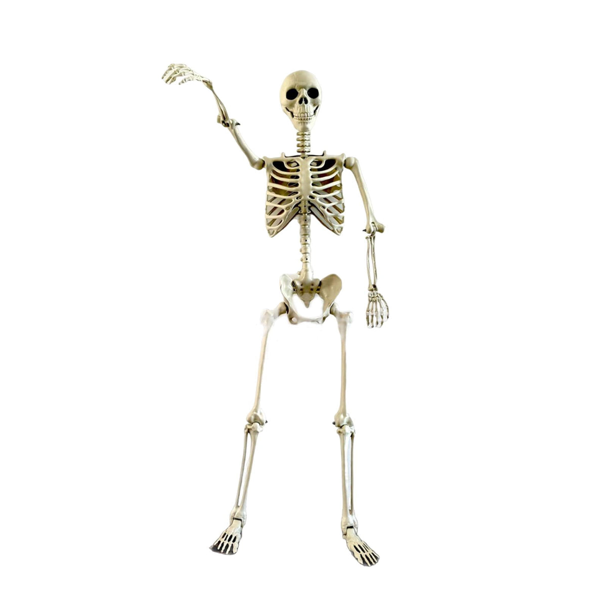 FVDPWYE Halloween Skeleton Horror Prop Ornament Flexible for Party Outdoor Festivals 170cm