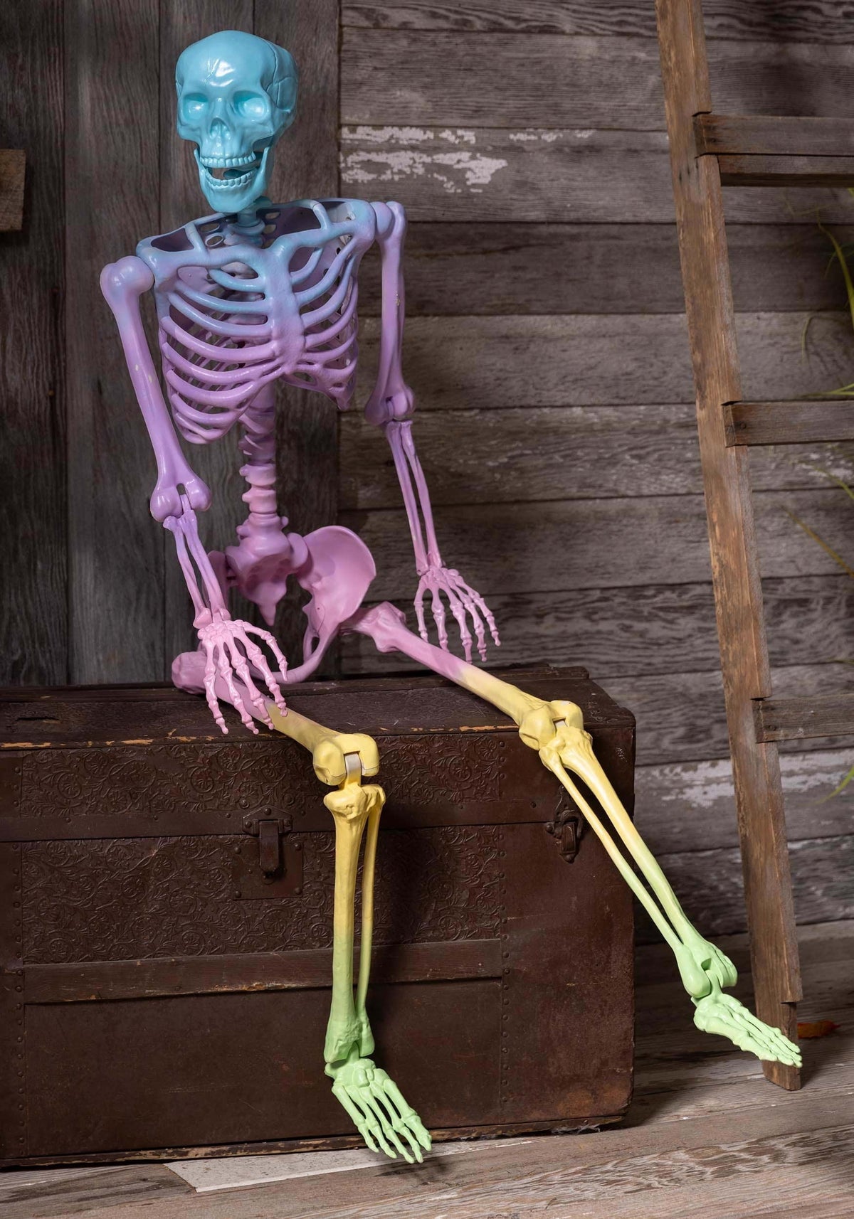 Crazy Bones Poseable Skeleton in Rainbow