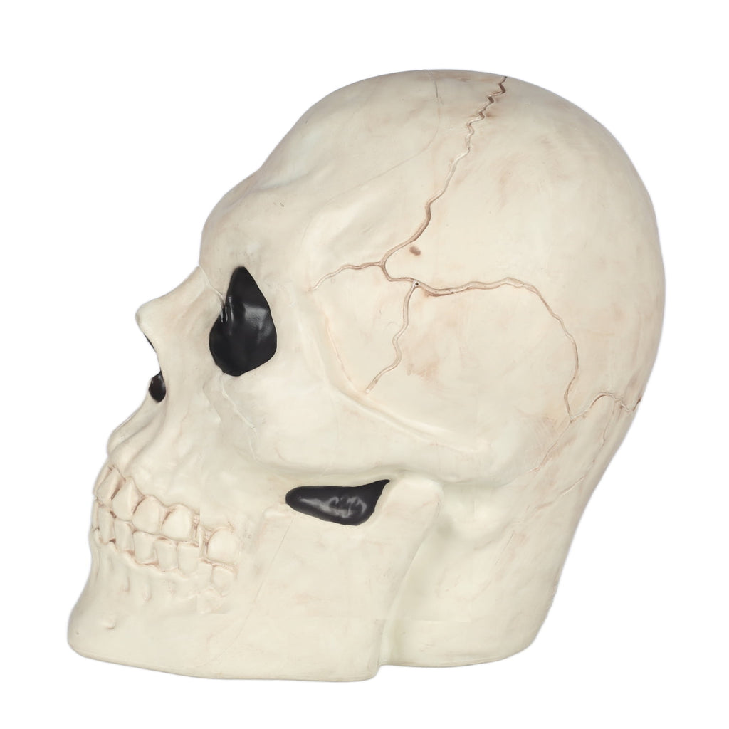 Seasons 17" Giant Skull Halloween Decorative for Crazy Bonez Skeleton Line, Large
