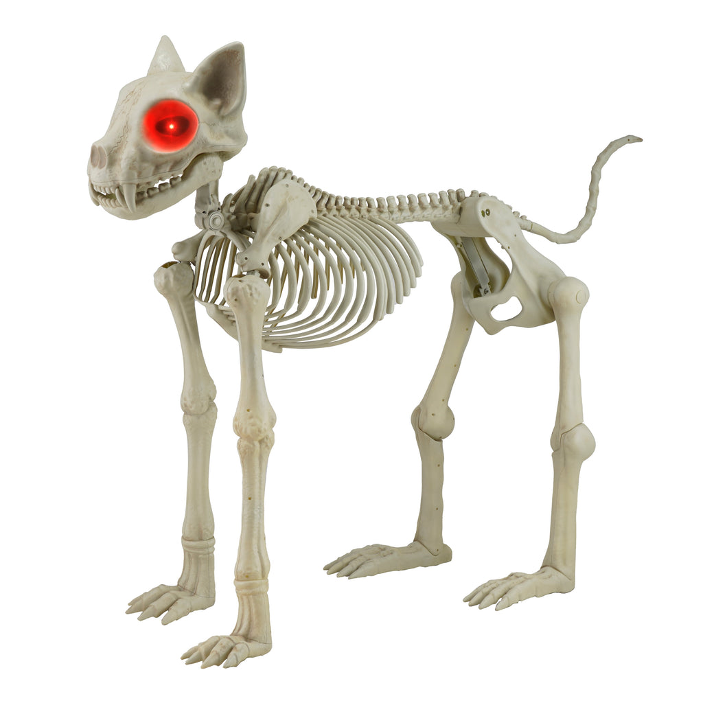 Way To Celebrate Animated Skeleton Cat Halloween Decoration, Beige, 60 in
