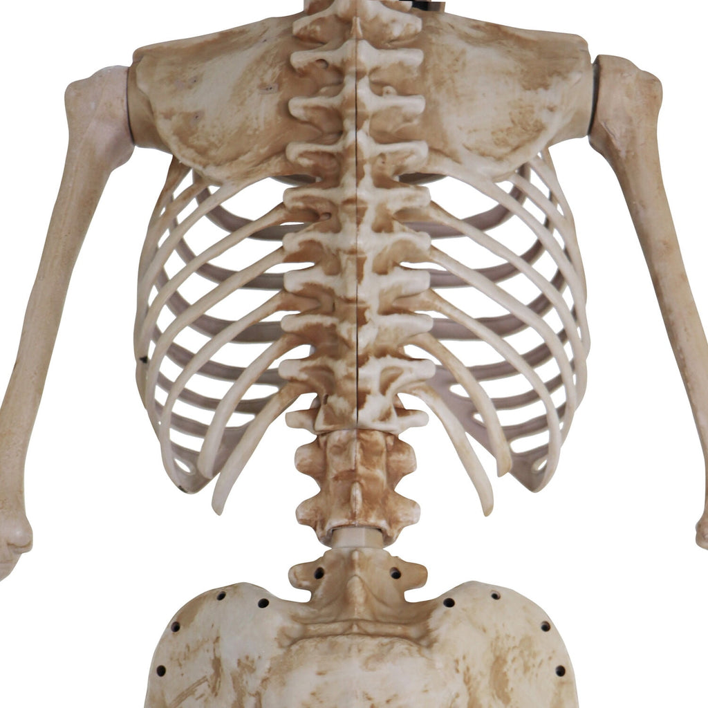 Haunted Hill Farm 8.0-Ft. Tall Motion-Activated Towering Skeleton, Premium Talking Halloween Animatronic, Plug-In