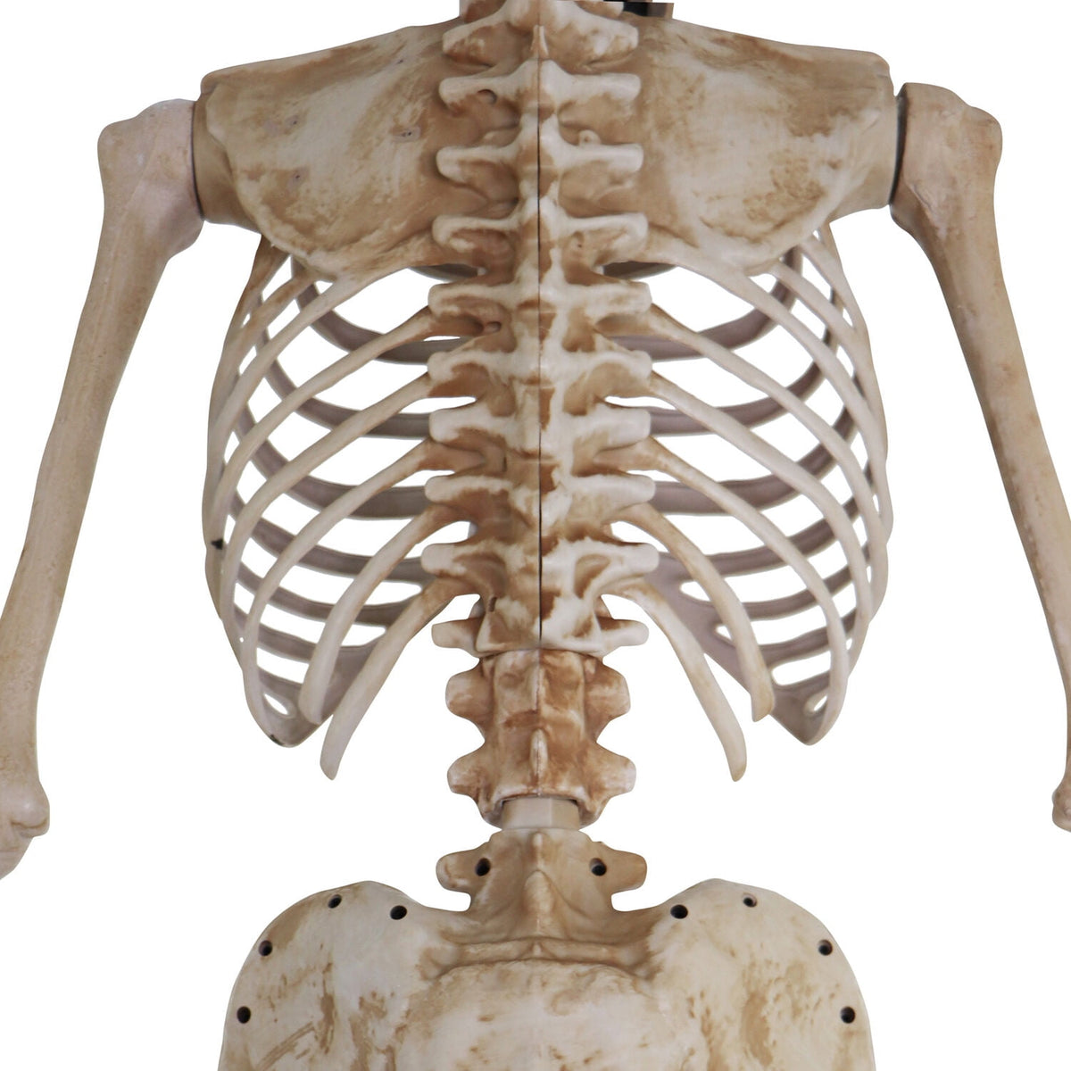 Haunted Hill Farm 8.0-Ft. Tall Motion-Activated Towering Skeleton, Premium Talking Halloween Animatronic, Plug-In