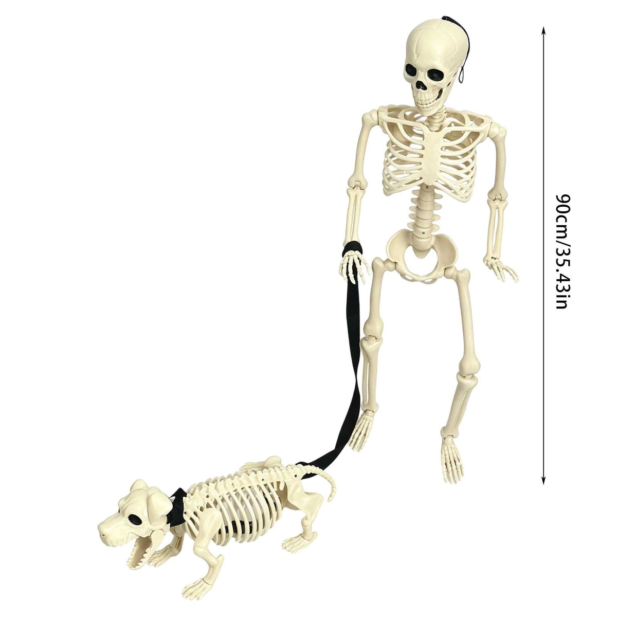 Human Dog Skeleton Halloween Decor, Posable Design for Indoor and Outdoor Seasonal Ornament
