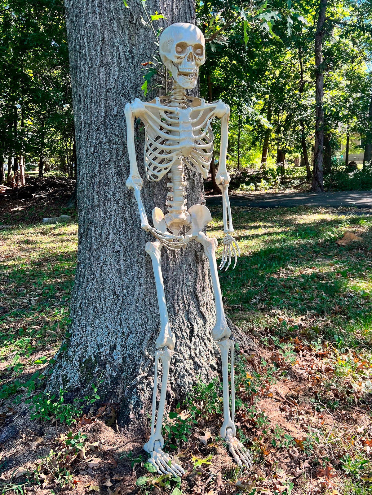 Rubies 60 in Poseable Skeleton Prop