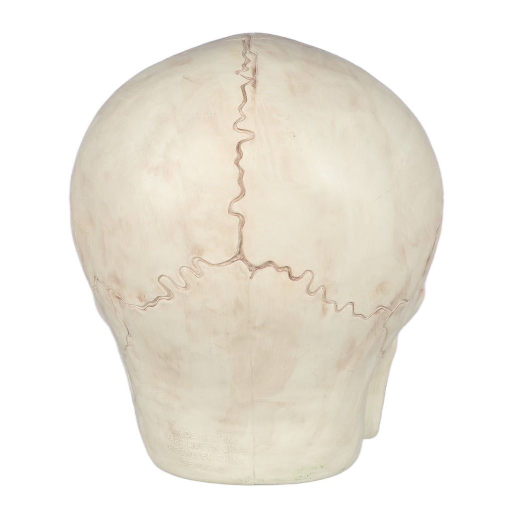 Seasons 17" Giant Skull Halloween Decorative for Crazy Bonez Skeleton Line, Large