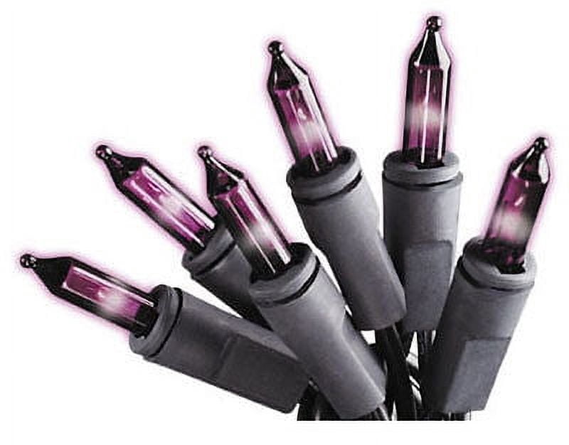 Sylvania V34708-88 100-Count Mini Light Halloween Set Purple Bulbs & Black Wire - Quantity of 12