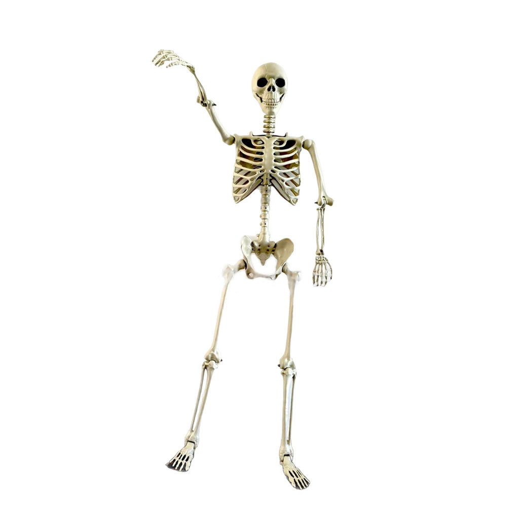FVDPWYE Halloween Skeleton Horror Prop Ornament Flexible for Party Outdoor Festivals 170cm
