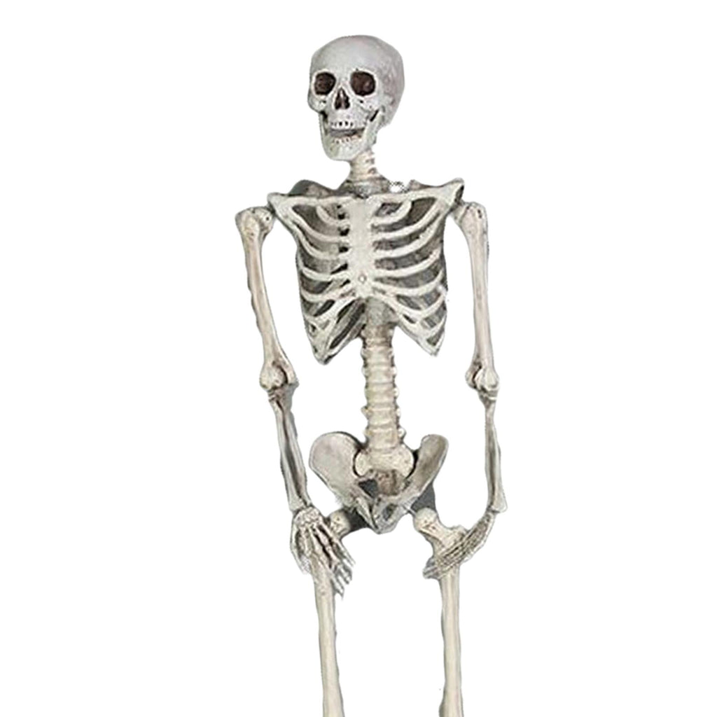 FVDPWYE Skull Halloween Skeleton Full Body Realistic Decorations Faux Human Skeleton for