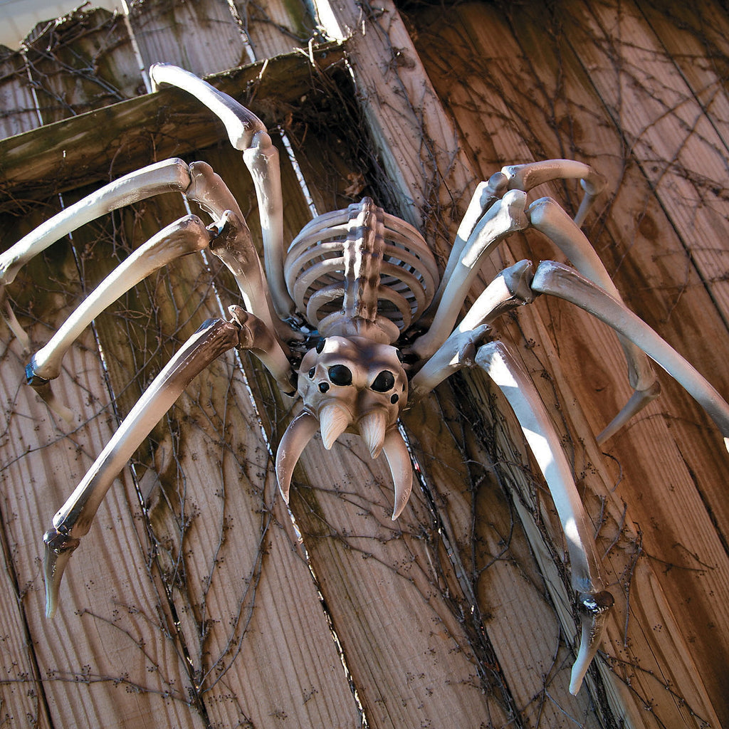 Bulk Giant Skeleton Spider Halloween Decorations - 4 Pc