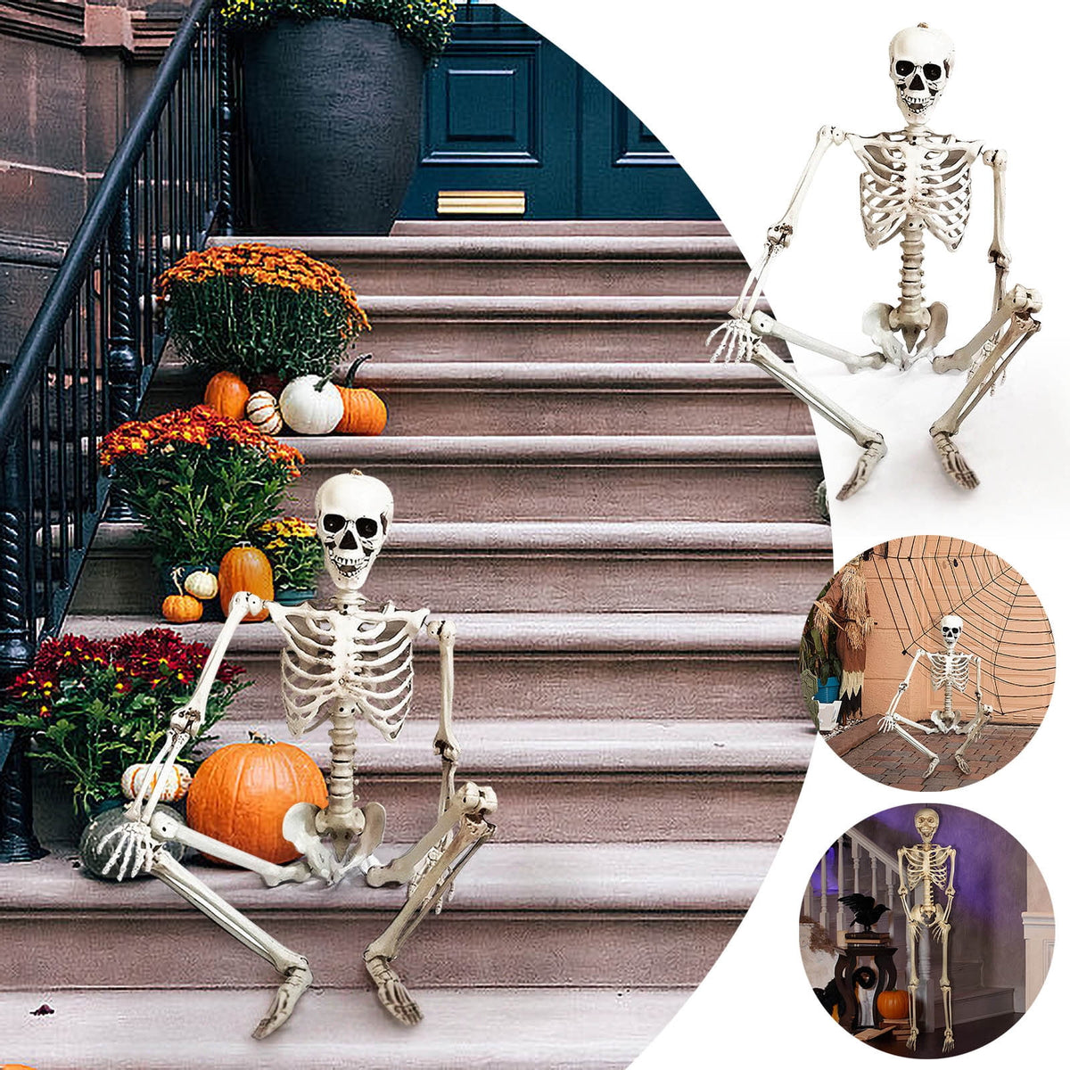 Hwkond Halloween Skeletons Life Size 165cm Halloween Skeleton Prop Human Full Size Skull Hand Life Body Anatomy Model Decor
