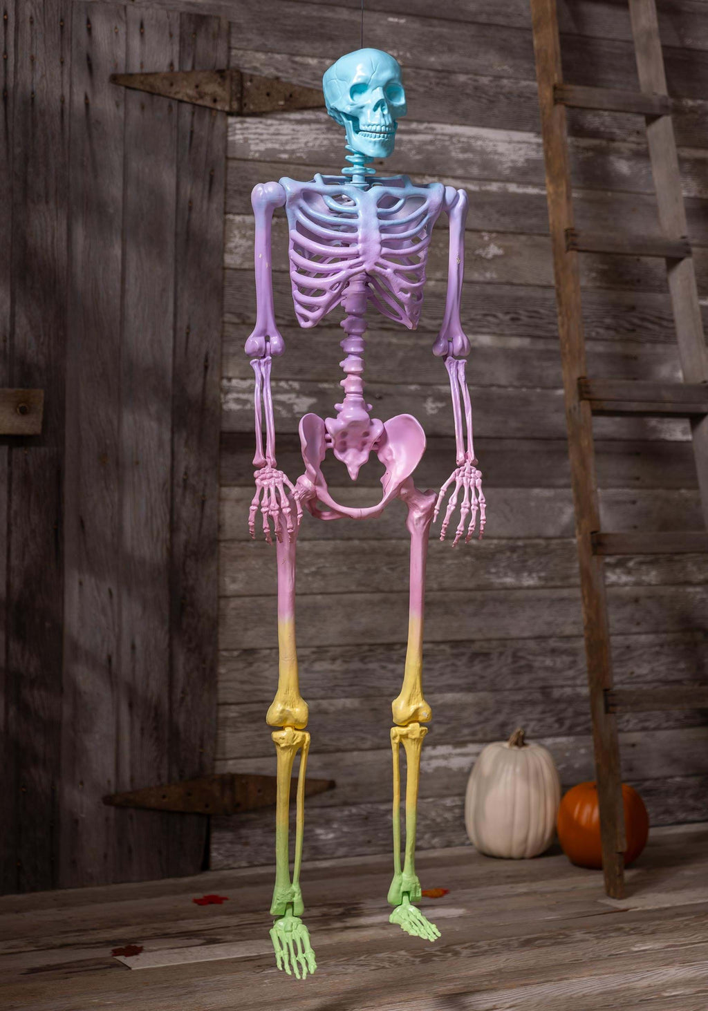 Crazy Bones Poseable Skeleton in Rainbow