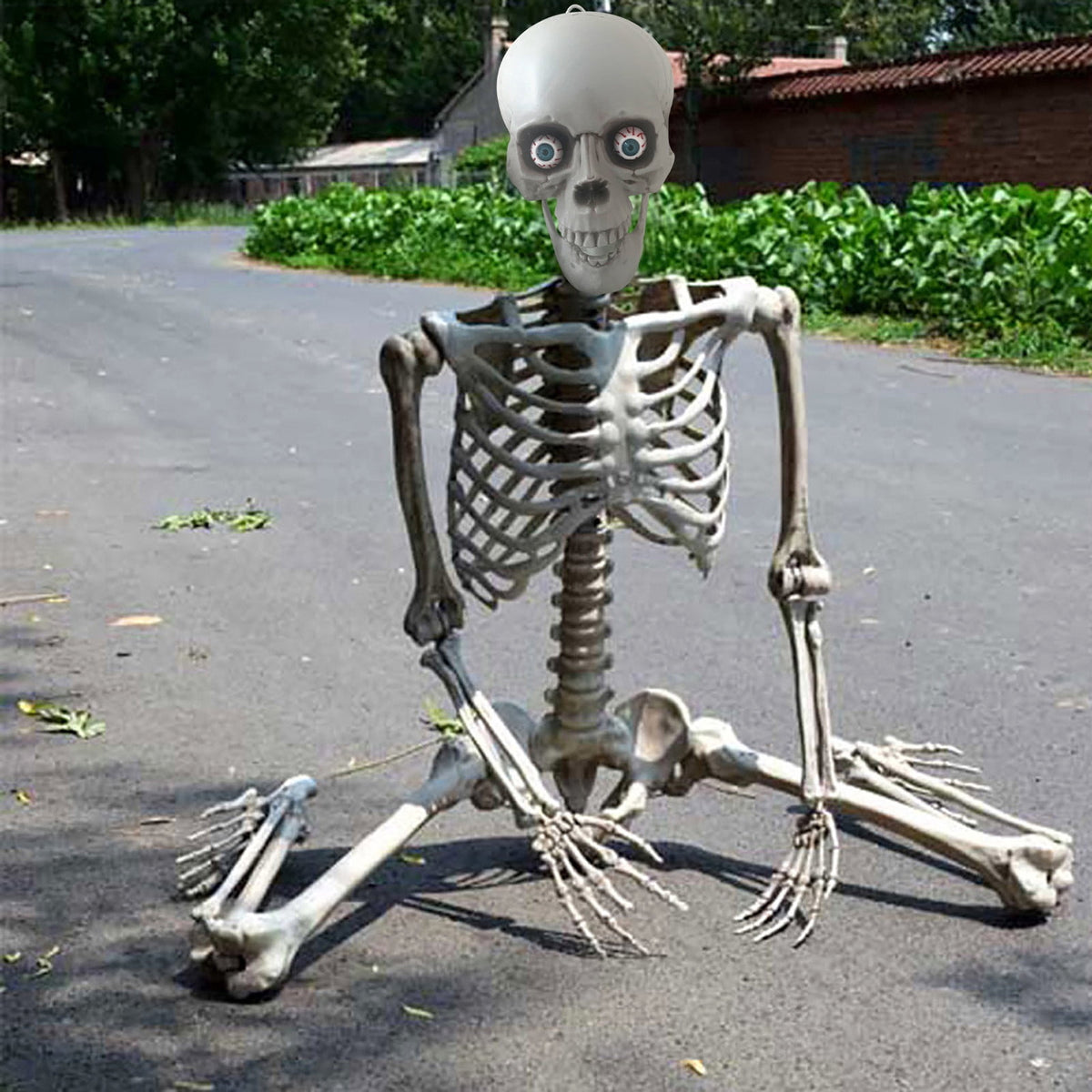 FAMTKT 63inch Halloween Skeleton Halloween Decorations, Halloween Skeleton Prop Human Full Size Skull Hand Life Body Anatomy Model Decor Skull Party Decorations