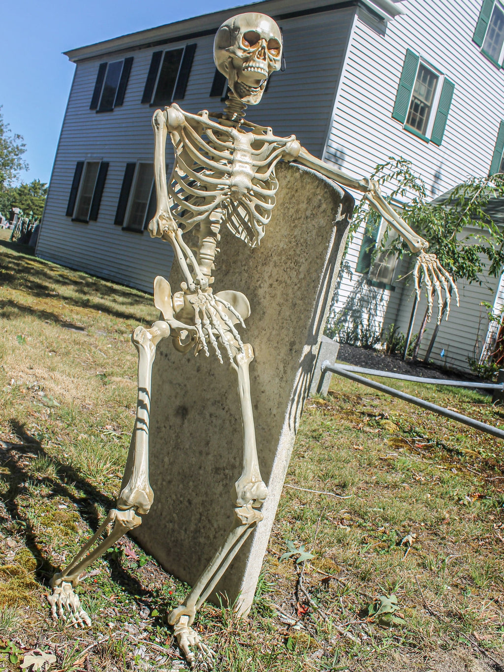Rubies 60 in Poseable Skeleton Prop