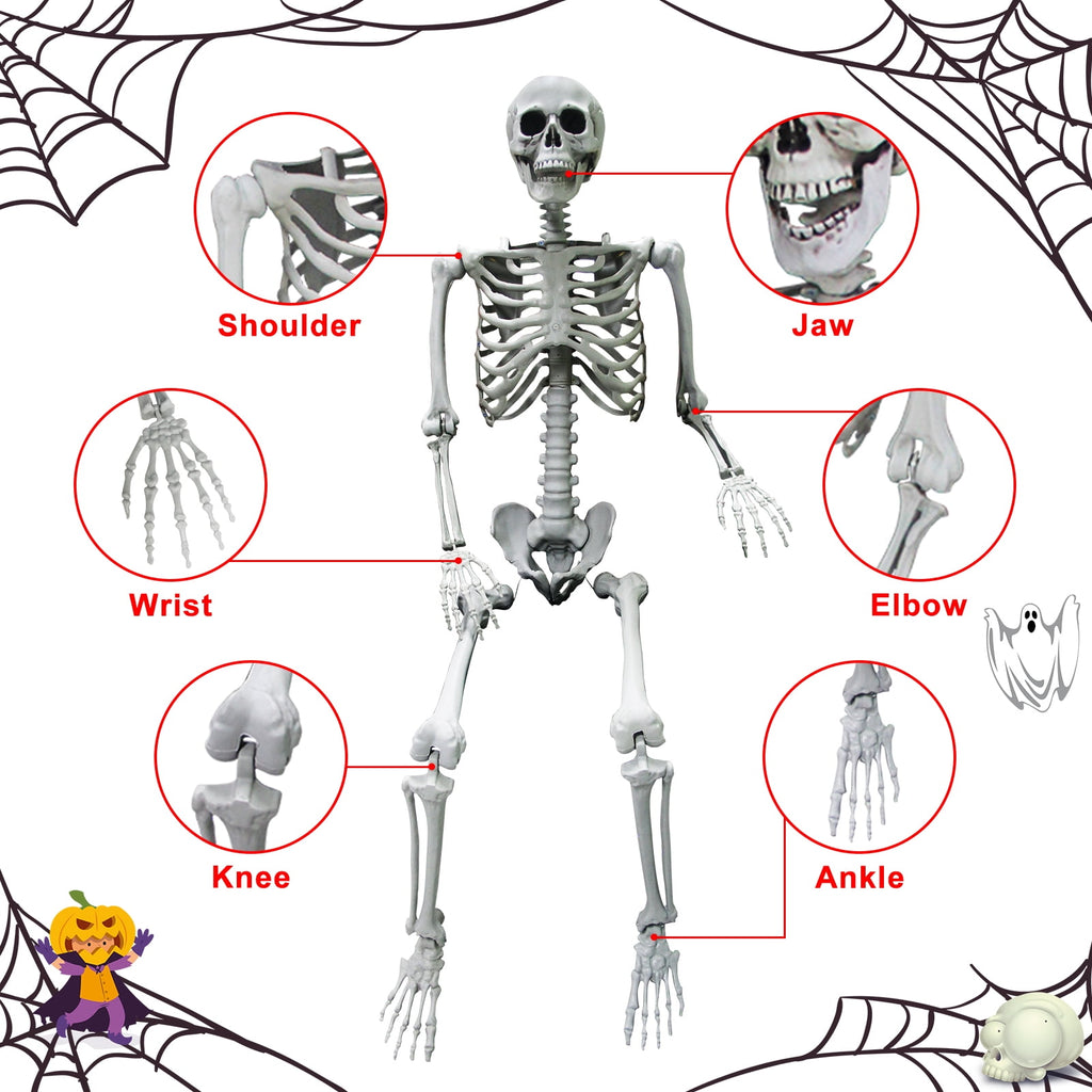 OZMI 5' 4" Tall Halloween Skeleton Decoration for Haunted House, 63 Inch Plastic Life Size Skull Skeleton for Halloween Party Haunted House Bar Yard Graveyard Decorations Party Supplies
