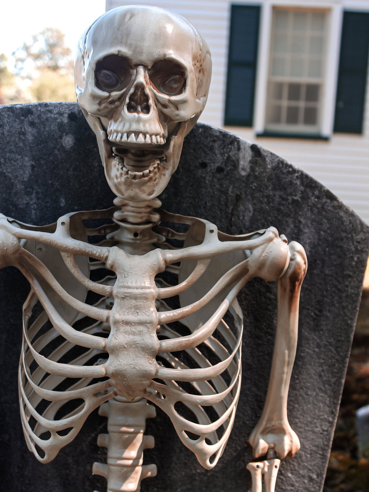 Rubies 60 in Poseable Skeleton Prop