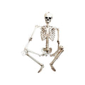 Hwkond Halloween Skeletons Life Size 165cm Halloween Skeleton Prop Human Full Size Skull Hand Life Body Anatomy Model Decor
