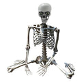 Life Size Posable Skeleton Decoration 66.9 Inch, Realistic Full Body Human Bones with Movable Joints, Plastic Halloween Skeleton Prop for Haunted House Indoor Outdoor, Decorations and Favors