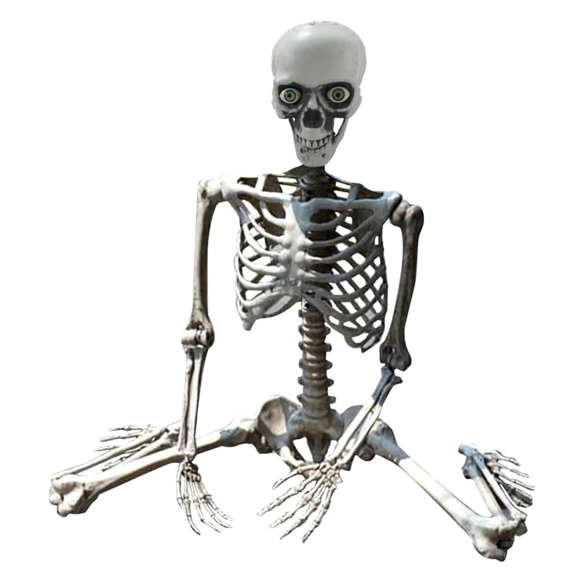Life Size Posable Skeleton Decoration 66.9 Inch, Realistic Full Body Human Bones with Movable Joints, Plastic Halloween Skeleton Prop for Haunted House Indoor Outdoor, Decorations and Favors