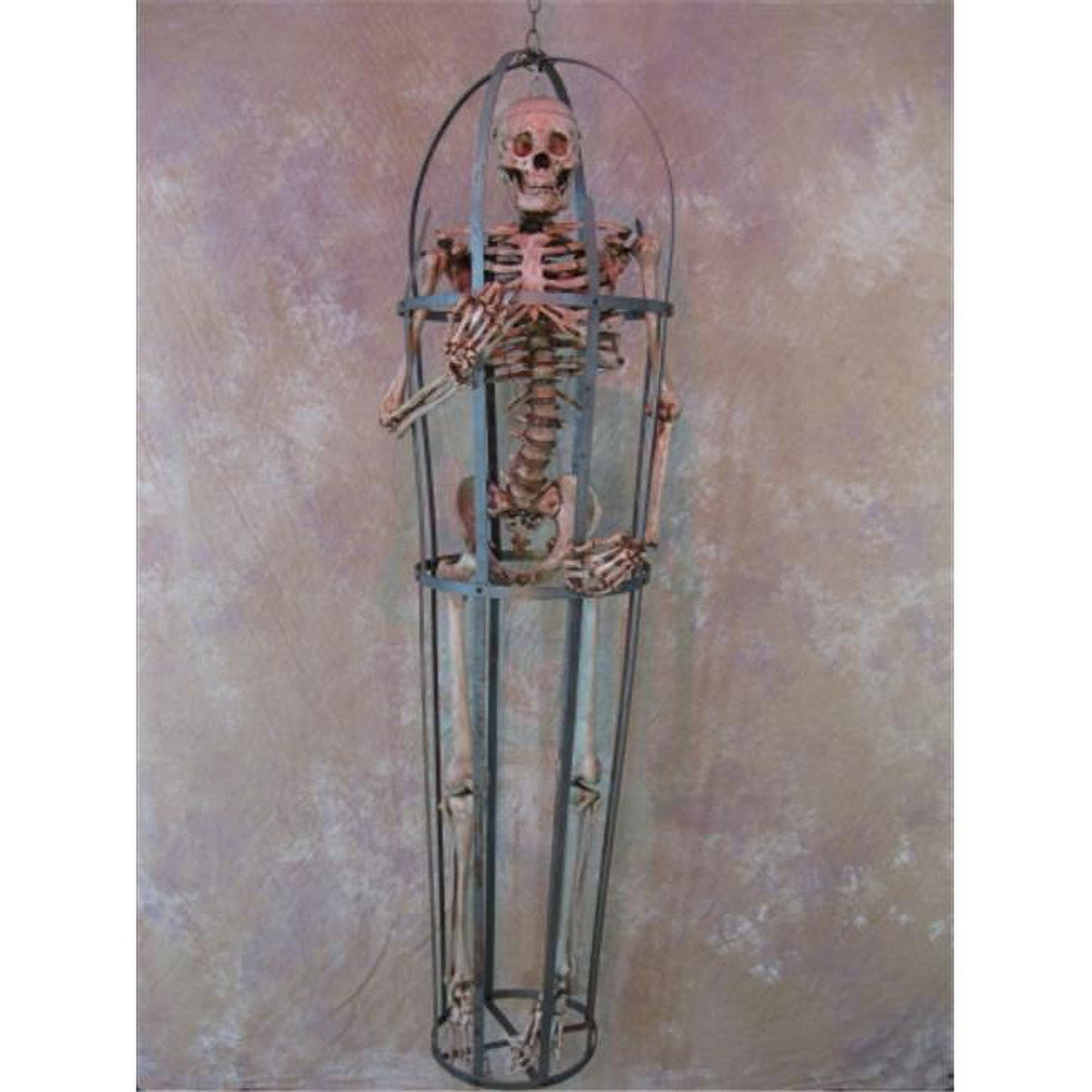 Skeletons And More CAGE-200A Iron Skeleton Cage With Aged Life-Size Skeleton