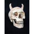 Skeletons and More DS100A Aged Devil Skull with 2 in. horn