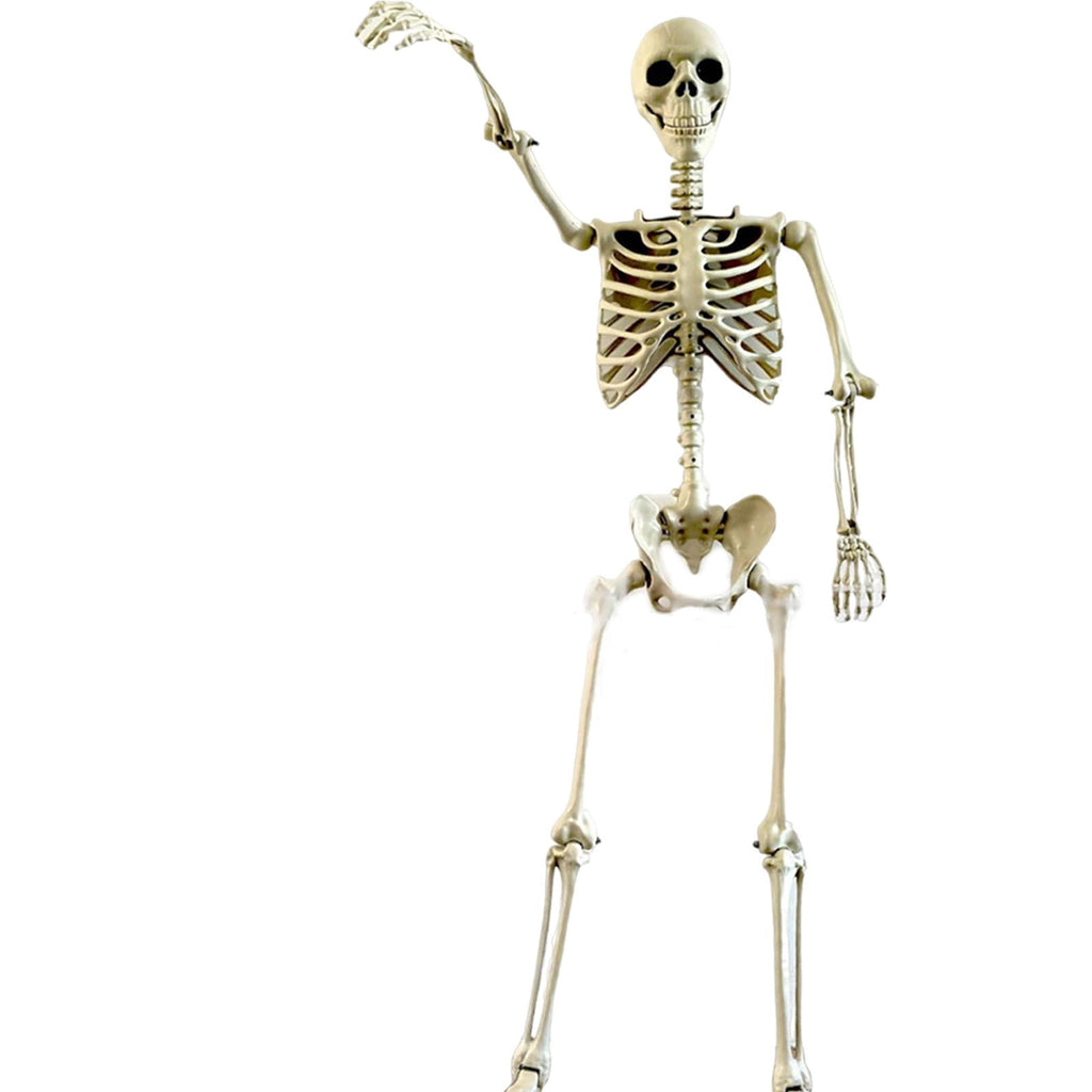 FVDPWYE Halloween Skeleton Horror Prop Ornament Flexible for Party Outdoor Festivals 170cm