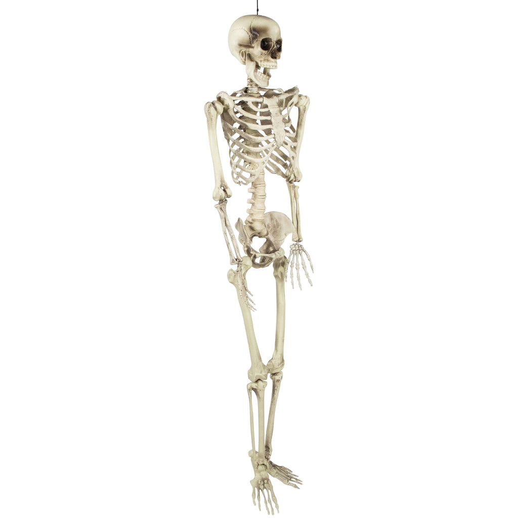 Northlight 5' Life Size Skeleton Indoor/Outdoor Halloween Decoration - White/Gray