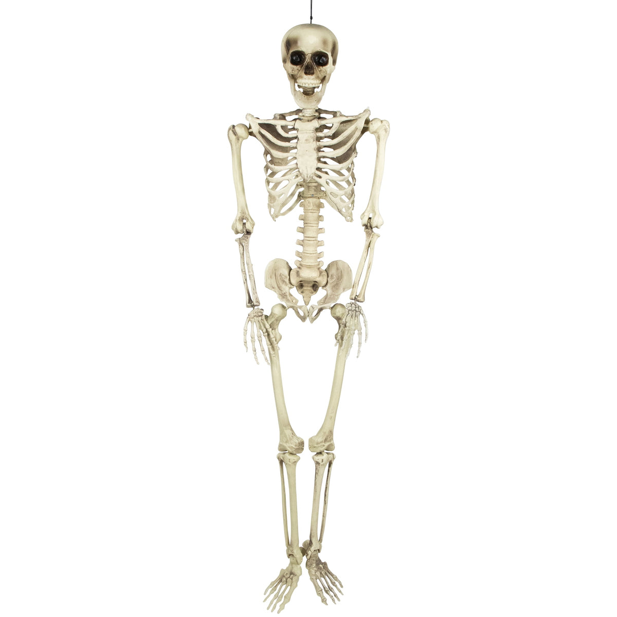 Northlight 5' Life Size Skeleton Indoor/Outdoor Halloween Decoration - White/Gray