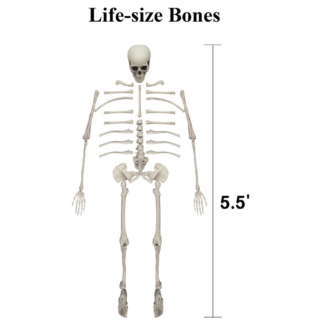 10 Pack Halloween Foam RIP Graveyard Tombstones with 35P Skeleton Bones for Halloween Party Outdoor Decorations