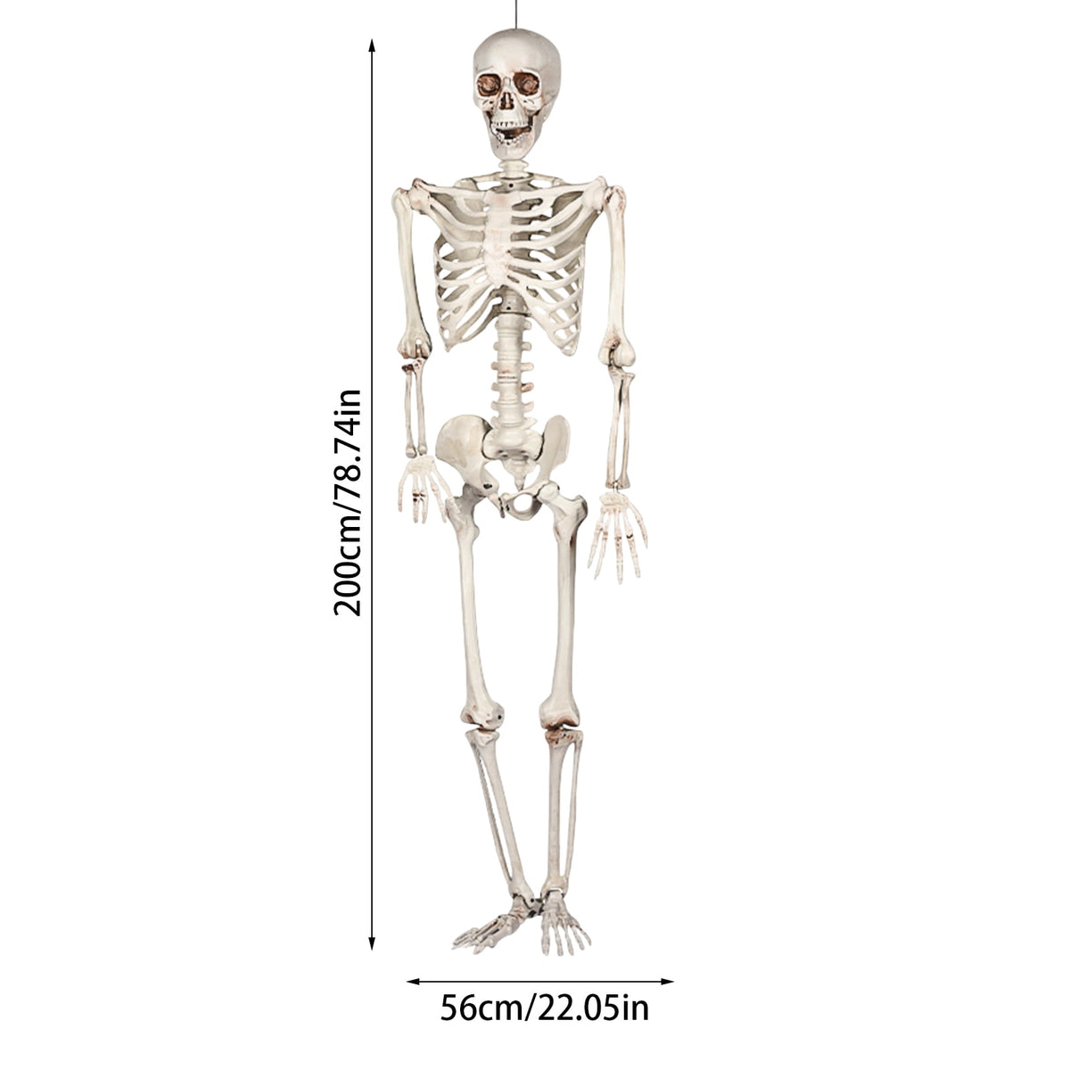 GoLucid Halloween Full Body Skeleton Decoration 78.74", Life Size Posable Skeleton Prop 200cm, Indoor Outdoor Haunted Yard Decor