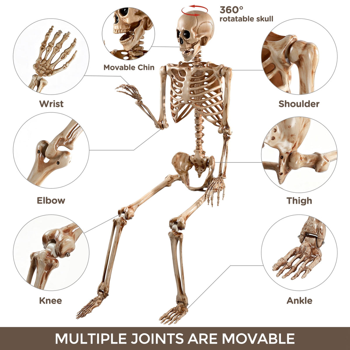 Ayieyill 5.4ft Halloween Skeleton Decorations, Weathered Posable Skeleton Decor for Halloween Decorations Outdoor Indoor