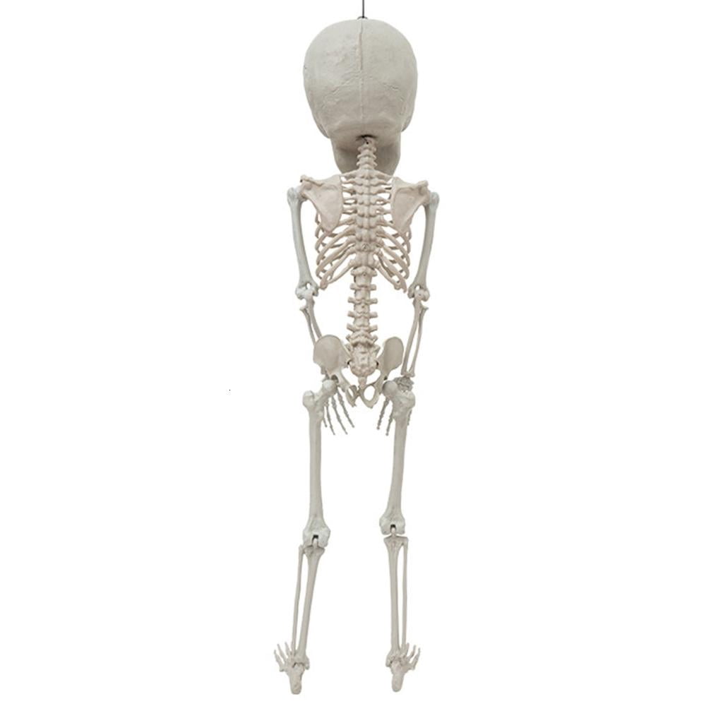 lanema Movable Joint Hanging Skeleton Halloween Decoration for Entryway Home Displays