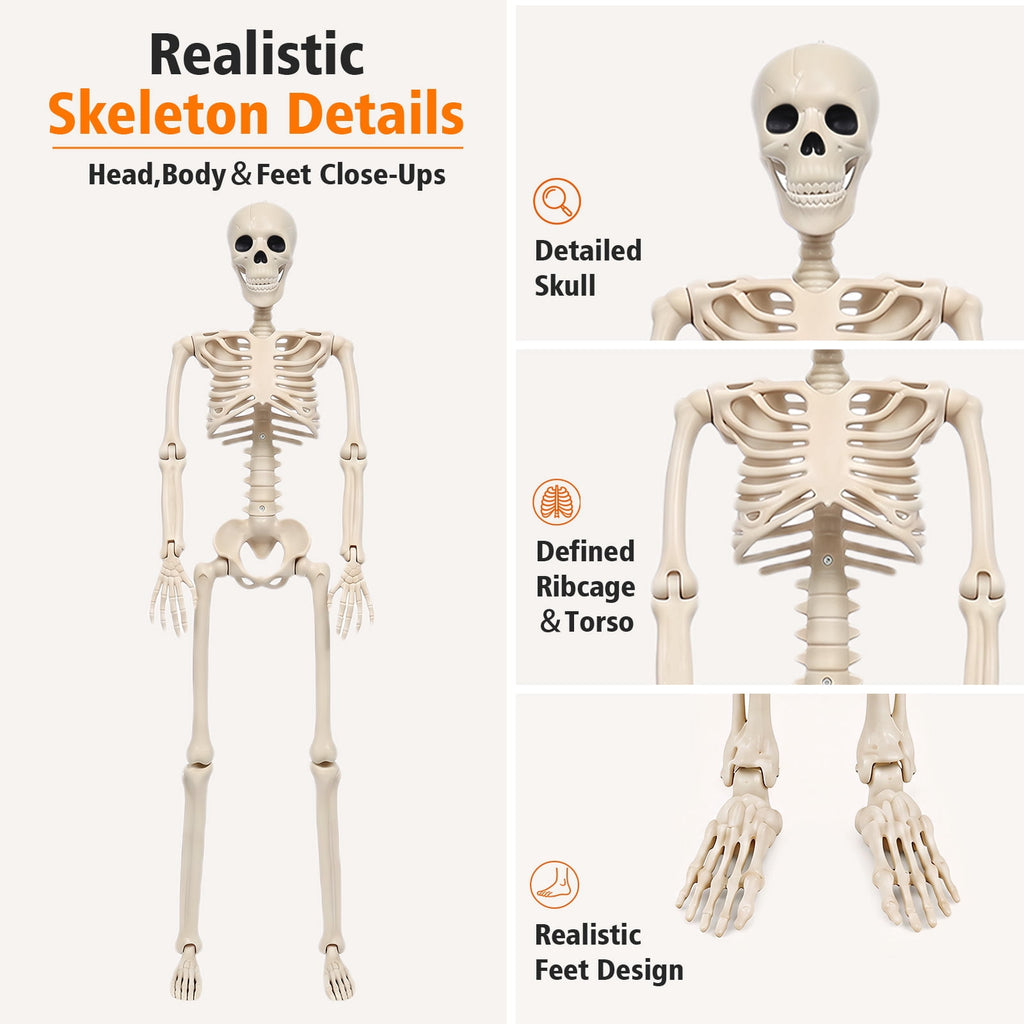 THE BRIVE 5.4ft Life Size Poseable Halloween Skeleton, Movable Joint Plastic Prop for Yard Porch Party Decor