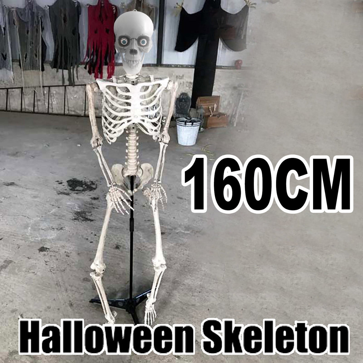 FAMTKT 63inch Halloween Skeleton Halloween Decorations, Halloween Skeleton Prop Human Full Size Skull Hand Life Body Anatomy Model Decor Skull Party Decorations